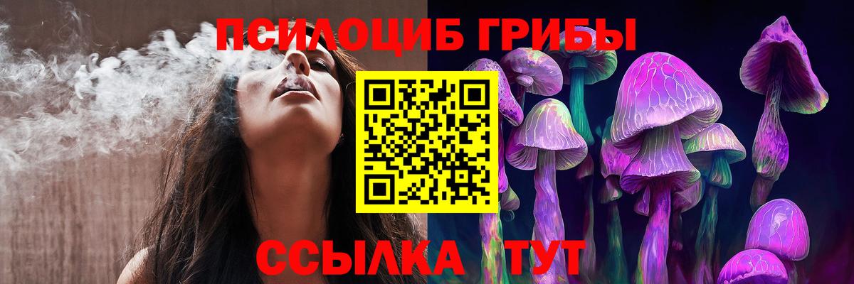 Чехов  Галлюциногенные грибы мухоморы  закладки  Вход с VPN 